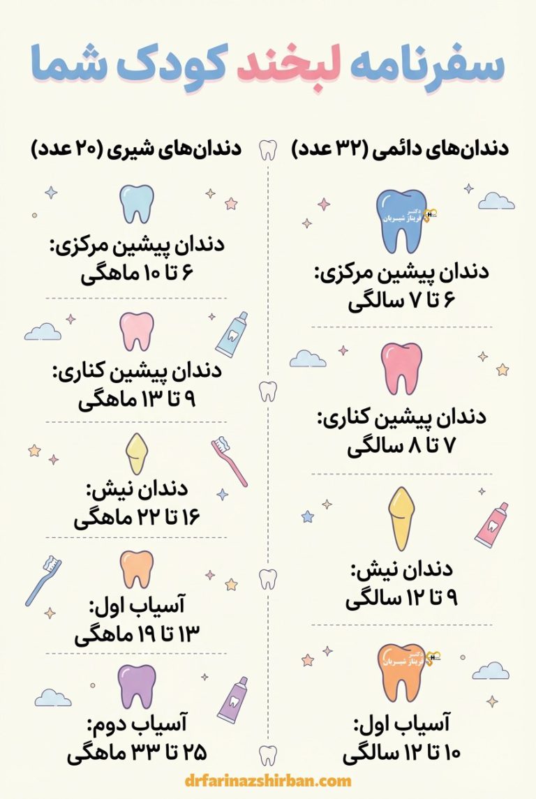 Infographic image of table The sequence of baby teeth eruption - photo of baby teething steps